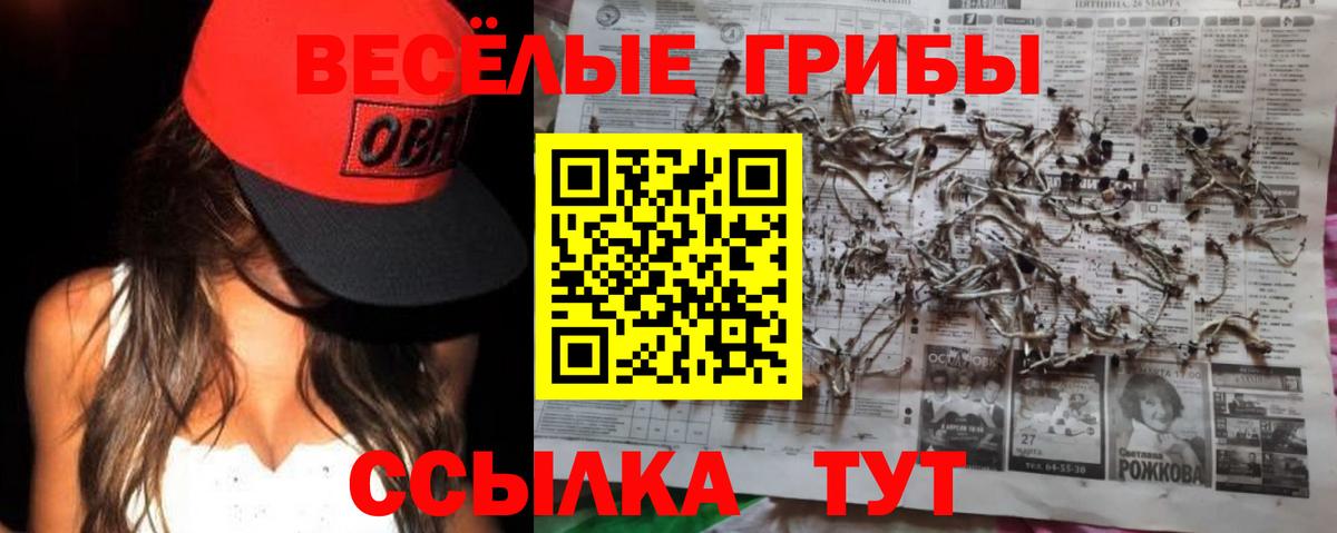 Псилоцибиновые грибы Psilocybe  Галлюциногенные грибы ЛСД  Вход с VPN  Мыски 
